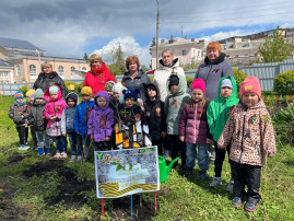 Сирень Победы Сирень Победы.